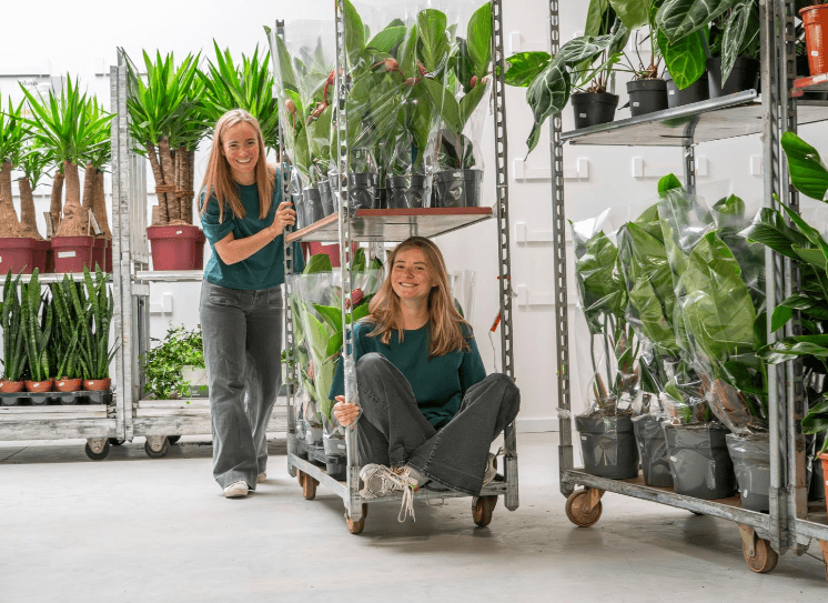 Win je € 70 voucher: Plants Market keert einde september terug naar Brugge