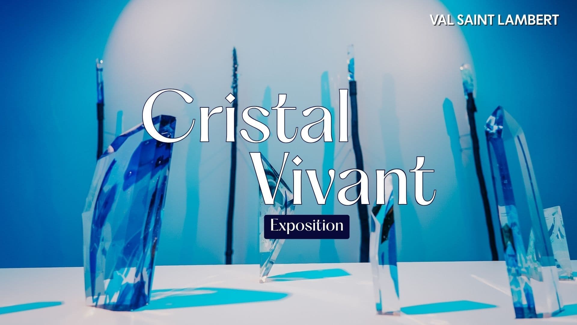 Vos entrées à l'exposition "Cristal Vivant"